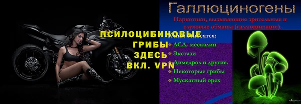 сатива Вязьма