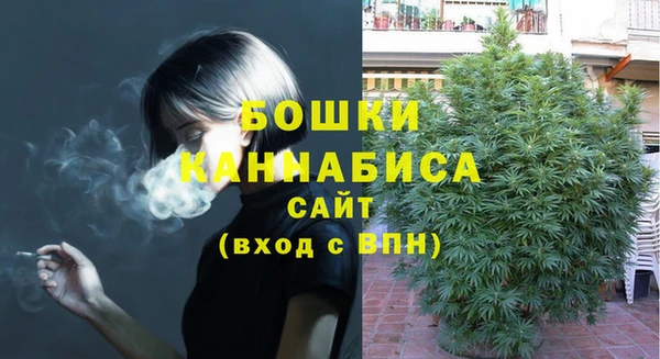сатива Вязьма