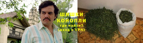 сатива Вязьма